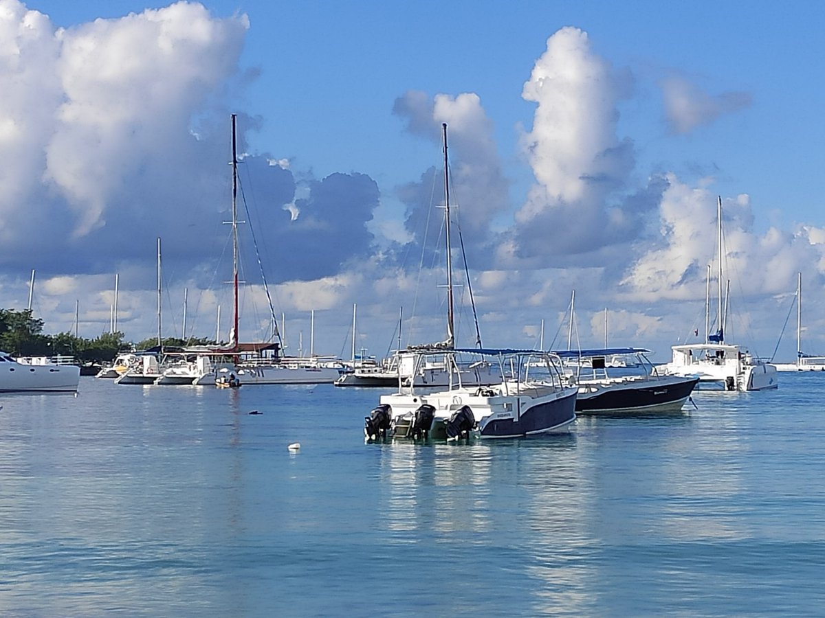 Dr. Johnson K. Jacob tweet media