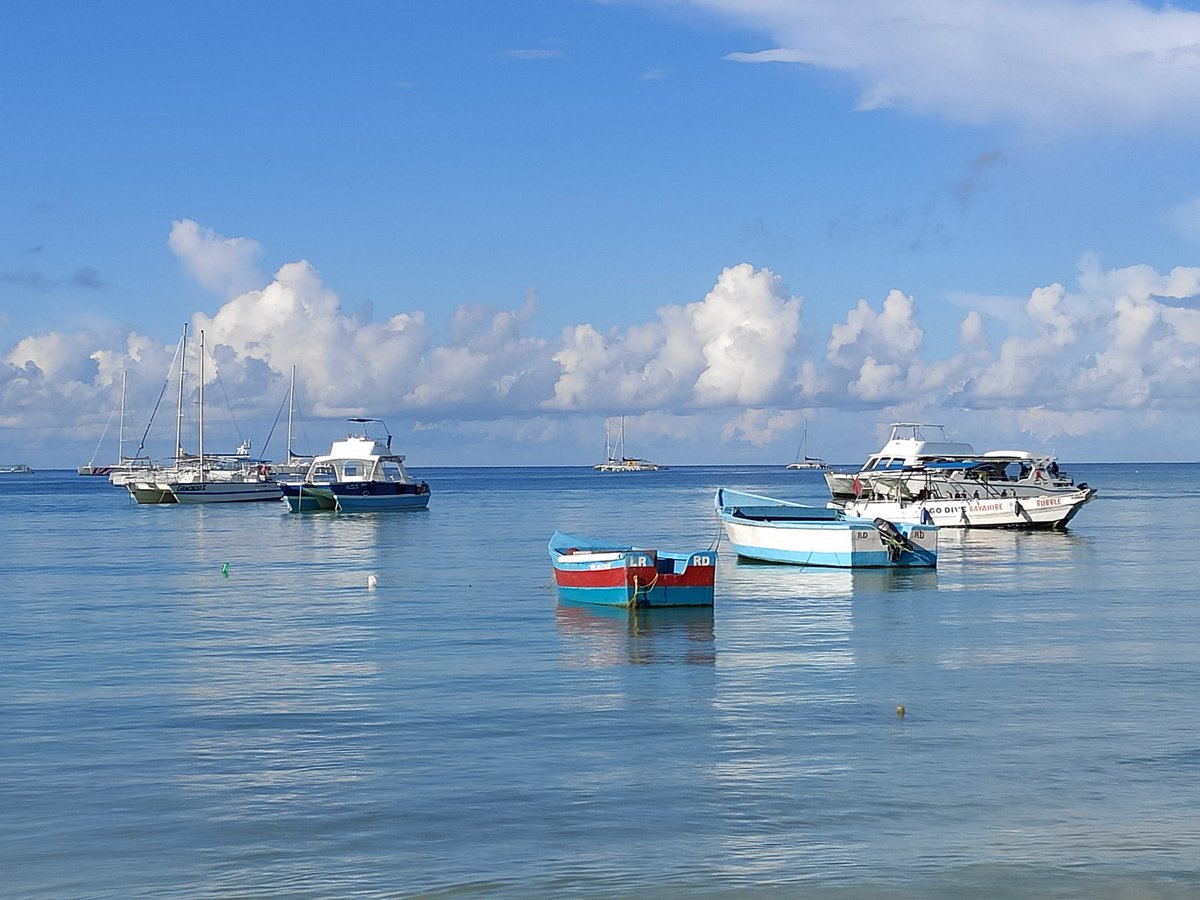 Dr. Johnson K. Jacob tweet media