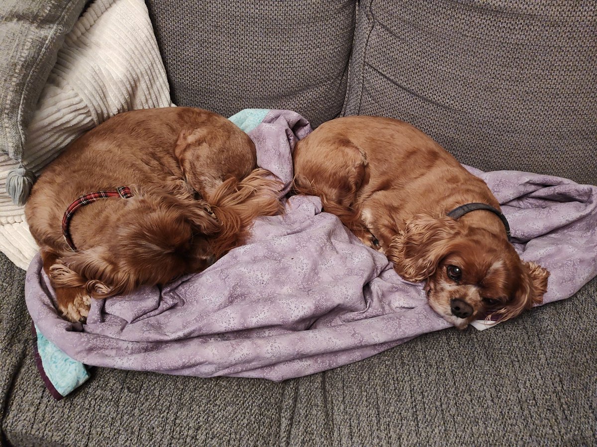 I can't imagine this thought crossed <a href="/ScottHanson/">Scott Hanson</a>'s mind, but it's Guy Fawkes Night this week in the UK and many set off fireworks tonight. Luckily, SEVEN HOURS OF COMMERCIAL FREE FOOTBALL drowns out the fireworks and stops my dogs from getting scared. #NFLRedzone