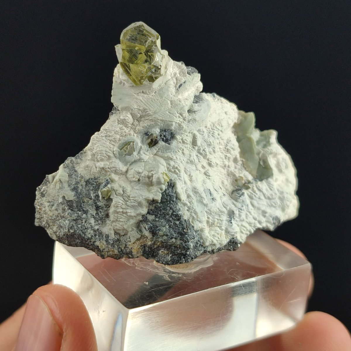 Rare Vivianite with Galena 5x4 cm 70g from Morocco -

cristalprince.etsy.com/listing/181916…

#crystals #minerals