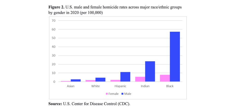 dazed_based's tweet photo. @squidmango @xerkes8822 @BIPOCracism Blacks are 200 million fewer people but kill more people than whites... I don't think you seem to understand how insane that is. Chicago has 3 times more homicides than Germany (90 million people) vs Chicago (2.7 million people) https://t.co/JnvZ4gJ66Z
