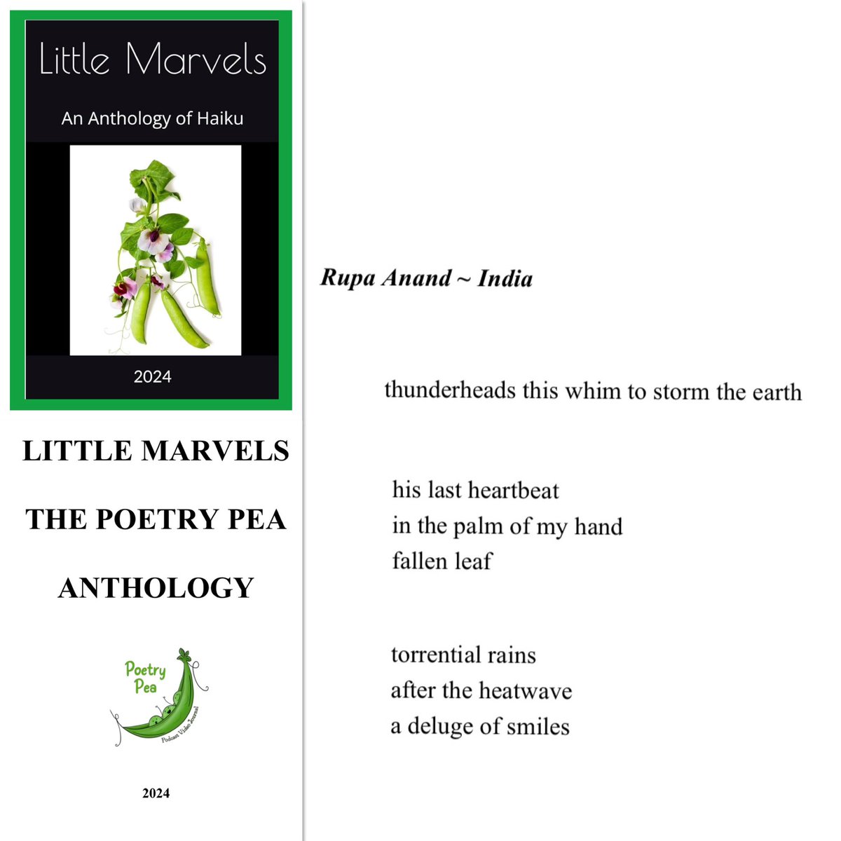 The Poetry Pea 🫛 Anthology for 2024  ‘Little Marvels’ is out. Sincere thanks to Patricia McGuire for homing three works of mine.