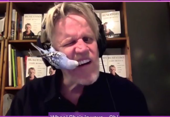 To answer a wonderful question…have I ever had a bird as a pet…