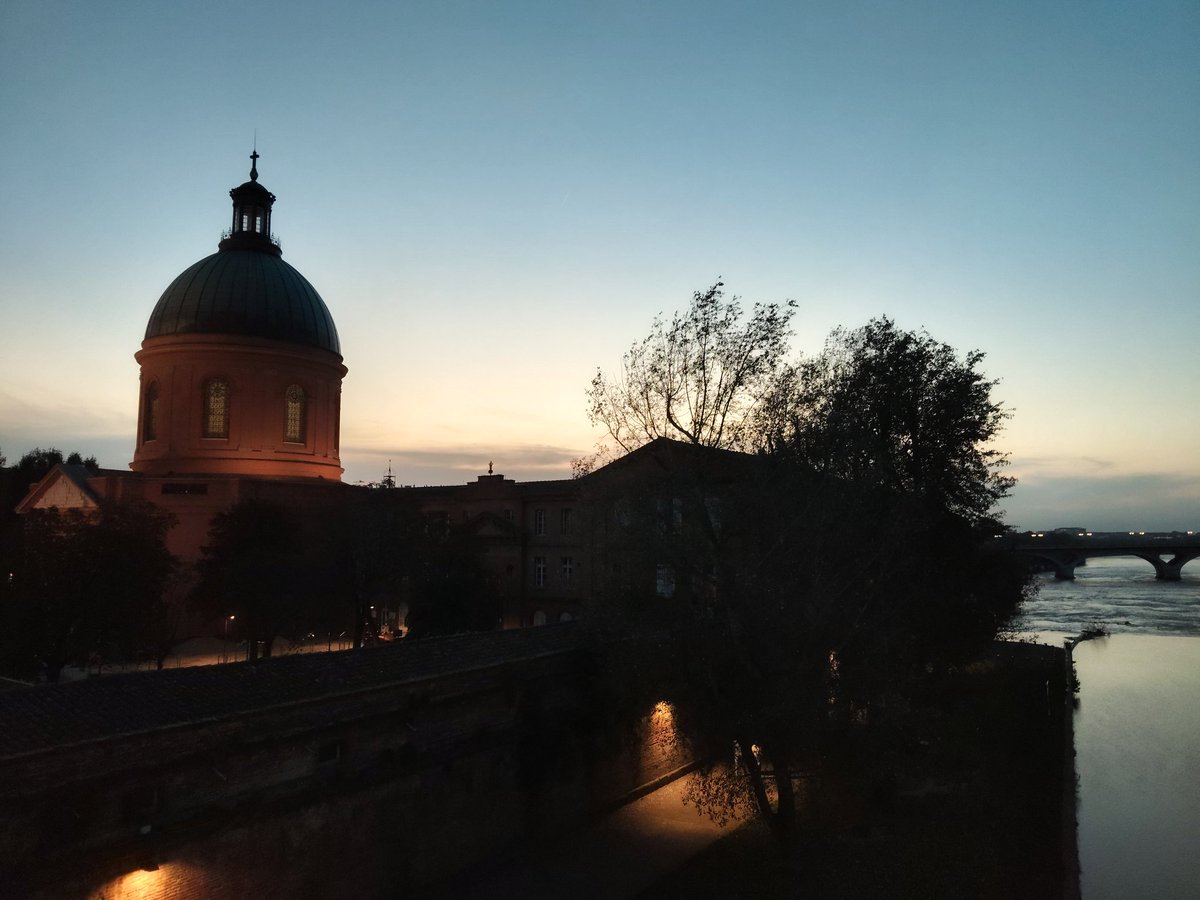 Lavinia Maddaluno tweet media