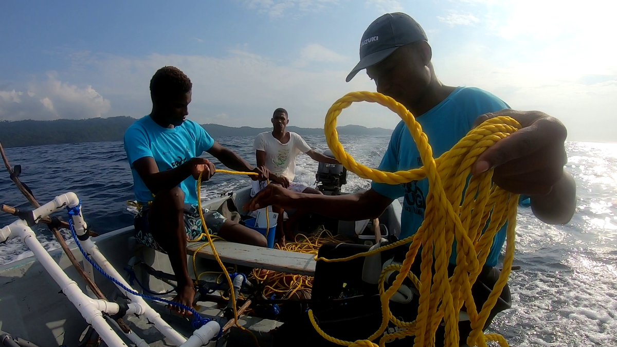 GPorrinos's tweet photo. To fill the lack of ecological data in the archipelago, we deployed 400+ benthic #BRUVS, aiming to:

1) Characterise fish species composition in #SãoTomé and #Príncipe

2) Understand the effect of environmental variables relevant for marine planning on fish communities.
(4/9) https://t.co/snNTWdM9un
