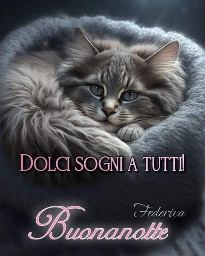 RITABIANCHi56 tweet media