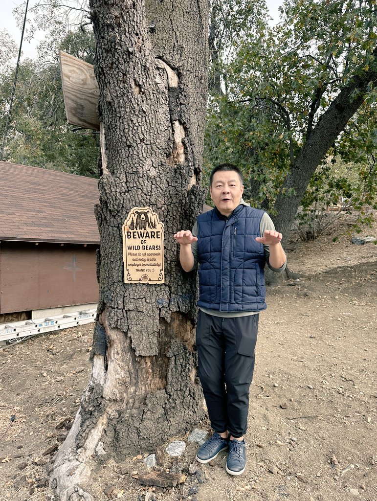 风起梧桐轩 💔 tweet media