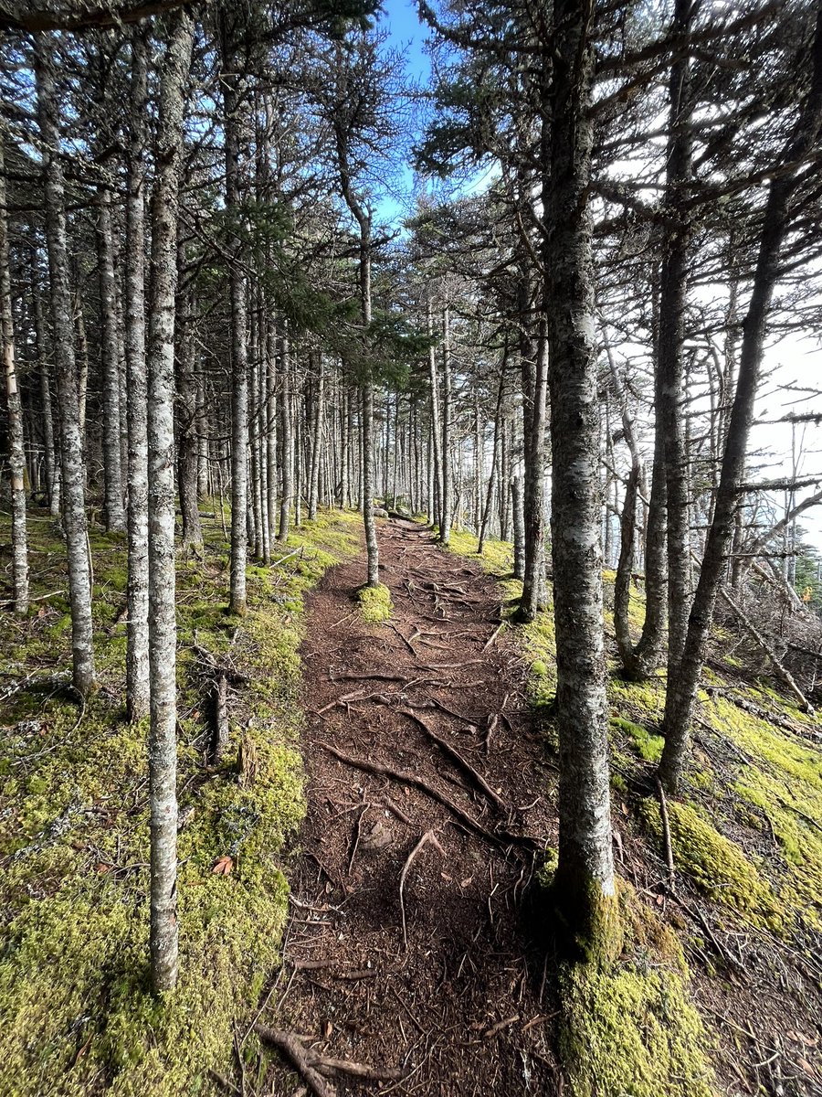 AmandaCMcCallum's tweet photo. Today a little nature therapy was in order, prior to the start of a busy week ahead, with Newfoundland and Labrador’s mineral resources industry coming together for Mineral Resources Review @MRRNL in St. John’s, NL! ⛏️ 🪨 

#ExploreNL #DiscoverNL #InvestNL @Mining_NL https://t.co/8ZRm7mzXGM