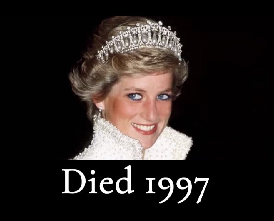 tonimnorth's tweet photo. Welcome back Princess Diana @Alfie_Murray https://t.co/SwmKdbMyac