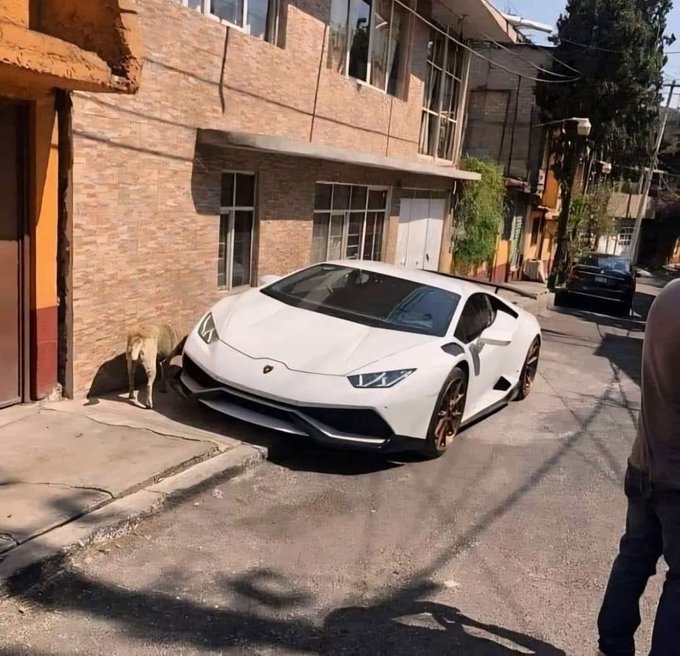 Watch Borrachos V.I.P's leaked NSFW photo on TwXstars