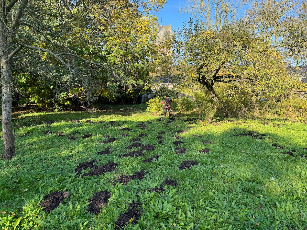 Vorige week 'bokashiweek': bak met 1 jaar oude bokashi openen en verspreiden over de tuin. (1/2)