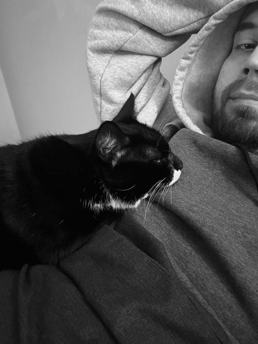mcoop's tweet photo. 🐈‍⬛🖤 https://t.co/g3wC39Vpl3