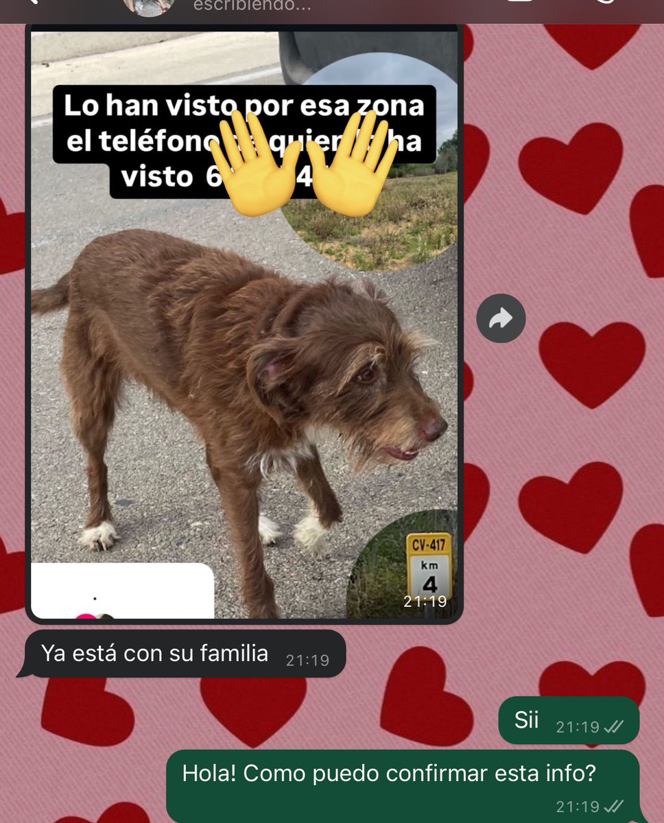 gxttyta's tweet photo. YA ESTÁ CON SUS DUEÑOS! 🤍🤍🤍🤍🤍🙏🏻 https://t.co/GPQ04BEGLZ