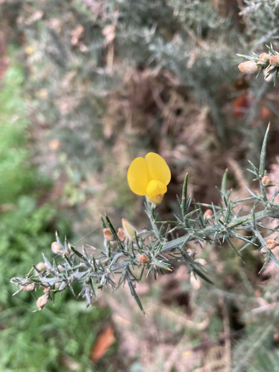 This weeks highlights of being outdoors 🍂💚