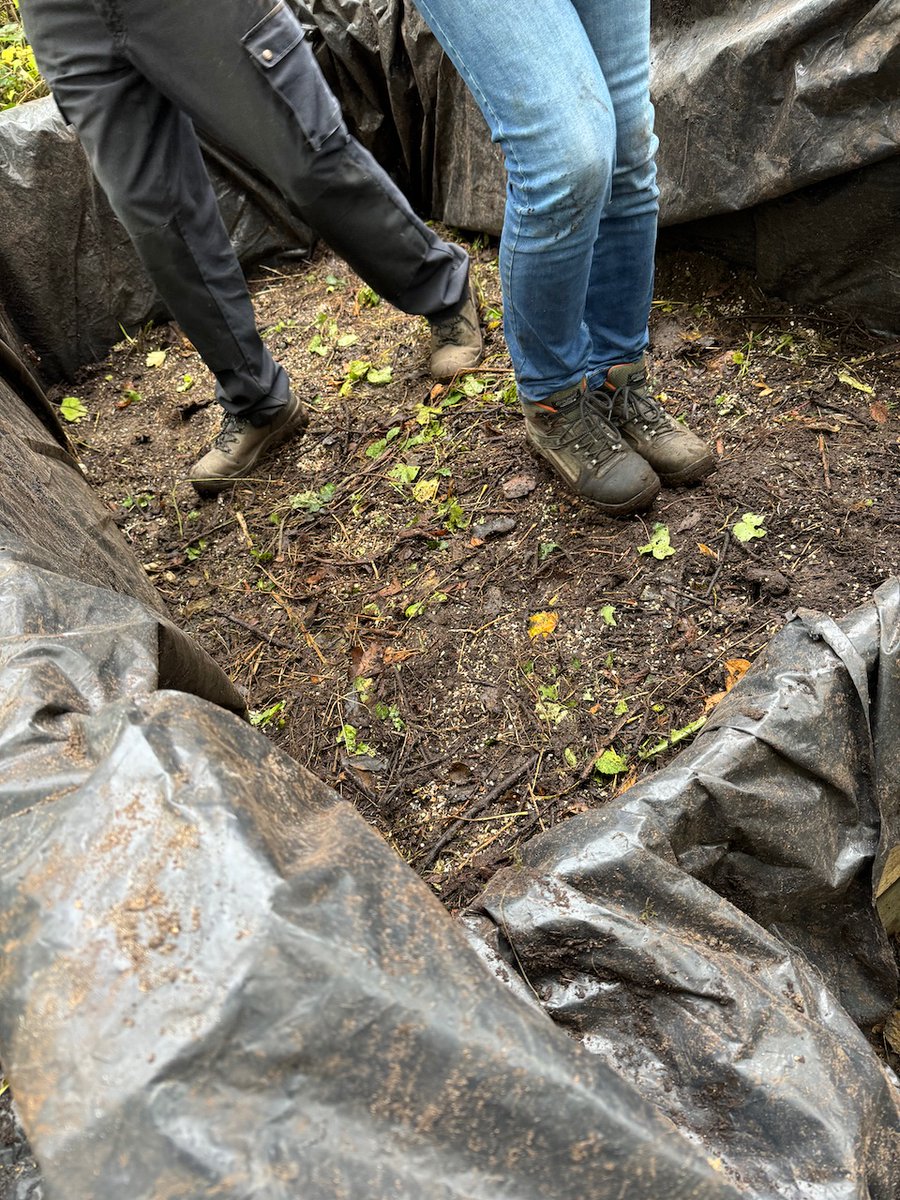 Vorige week 'bokashiweek': lege bak vullen met gedurende het jaar verzameld tuinafval; laag voor laag opbouwen: groen afval, bekalken (kippegrit/schelpengruis), houtsnippers (eigen oogst, 1 jaar oud), aanstampen: 'Bokashidans'. Herhalen tot voorraden op zijn en de bak vol is. 2/2