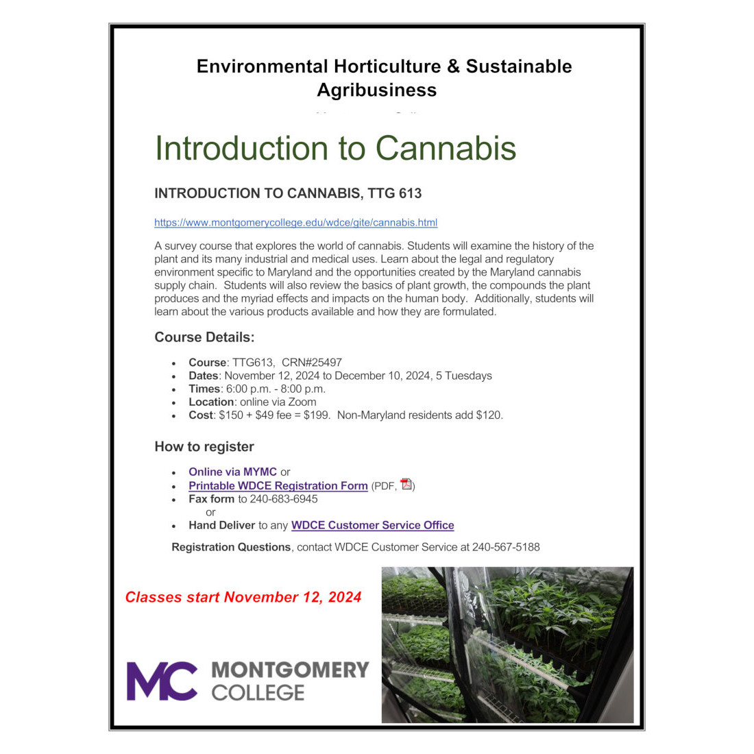 Montgomery County Master Gardeners - Maryland tweet media