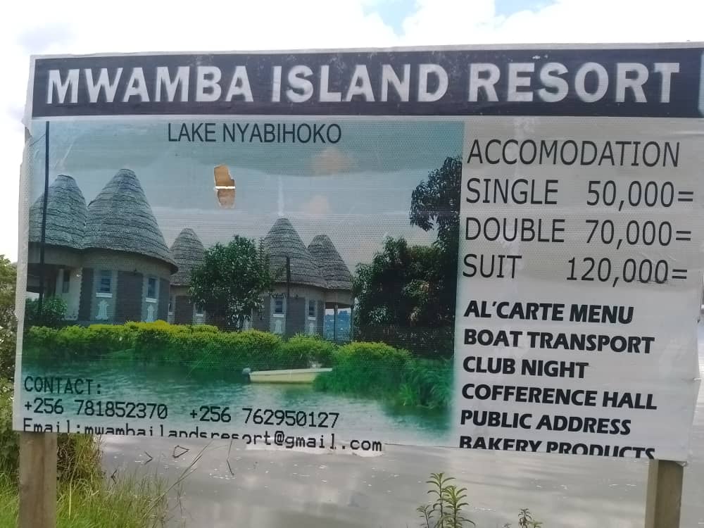 theupdateO61's tweet image. 