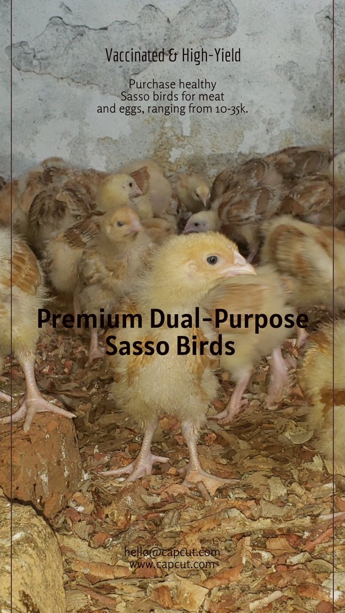 ogen_ivan's tweet image. Hello northern Uganda. Place ur orders