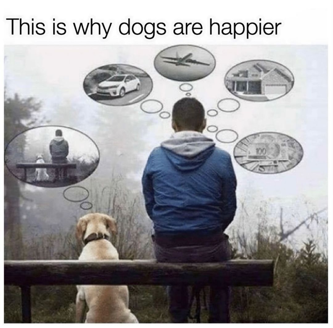 Mind_Essentials's tweet photo. https://t.co/0DIxkGbtf1