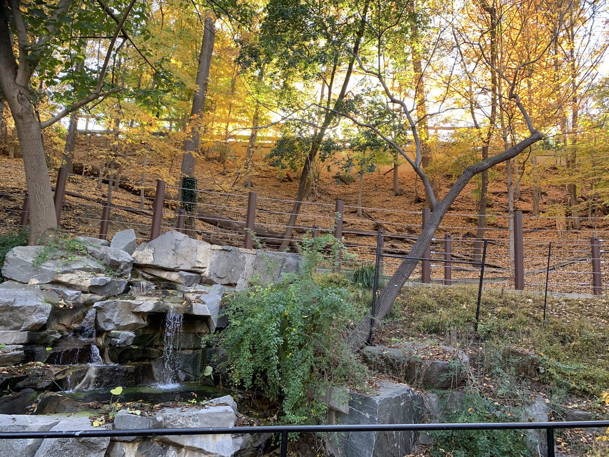 Had the best time in southwest Virginia this week. And how lucky am I that I get to spend my favorite season in a place as beautiful as this.