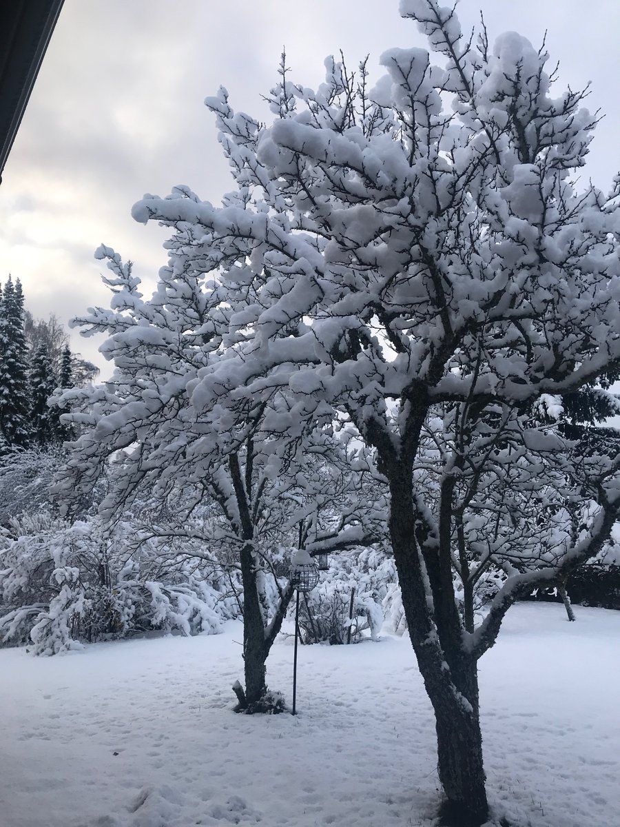 An early start to the winter here!