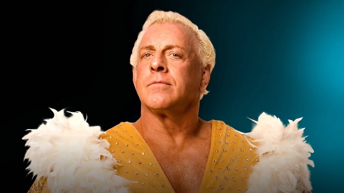 wrestlinuncover's tweet photo. Get rid of one and their entire legacy 👇🏼 https://t.co/zmvwQX9gJY