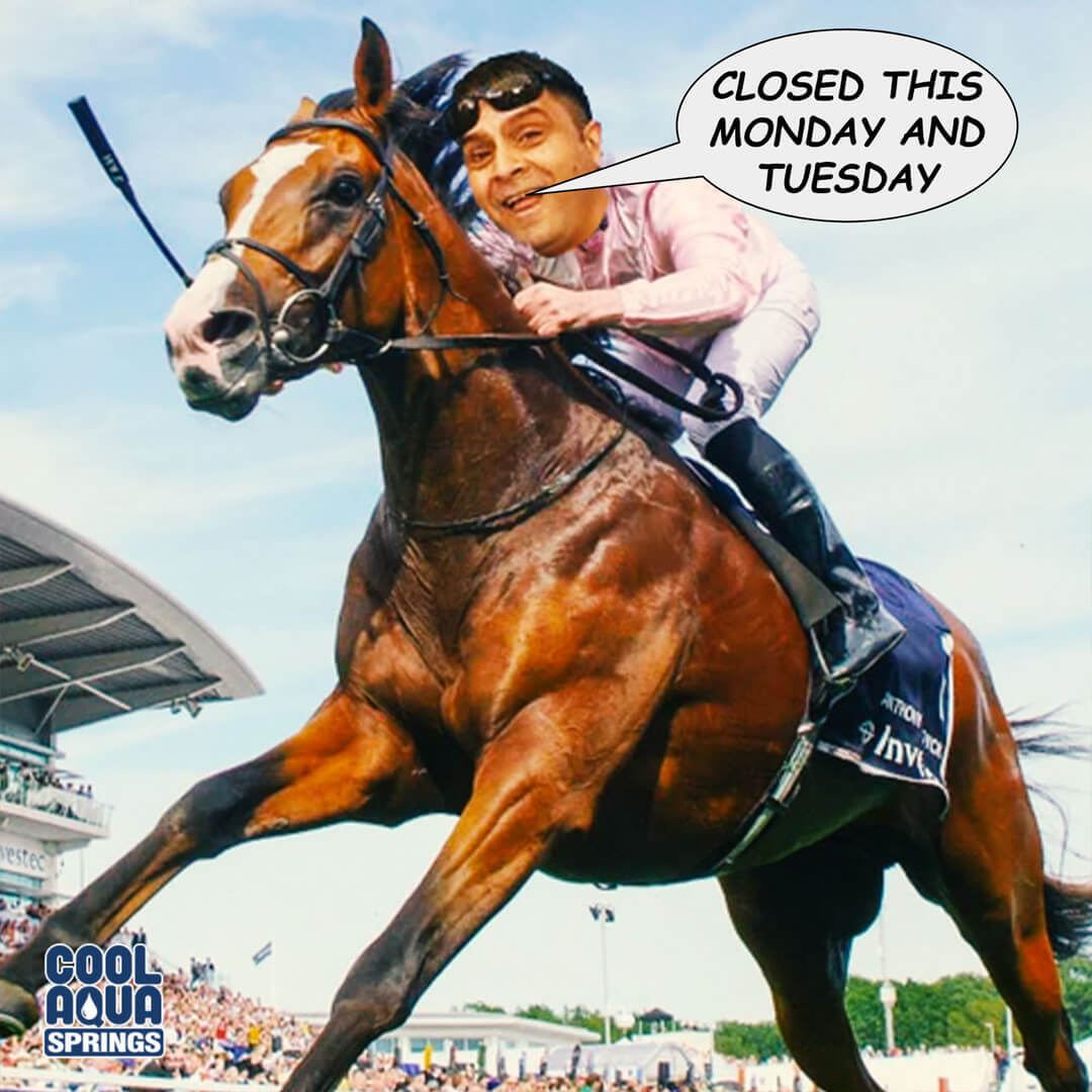 coolaquasprings's tweet image. We’re closed Monday and Tuesday for the Melbourne Cup. Hope you back a winner and enjoy our natural spring water over the extra-long weekend!

Get 24 x 600 mL bottles for only $14.00
bit.ly/cool-packages-…
#MelbourneCup #BottledSpringWater #CoolAquaSprings