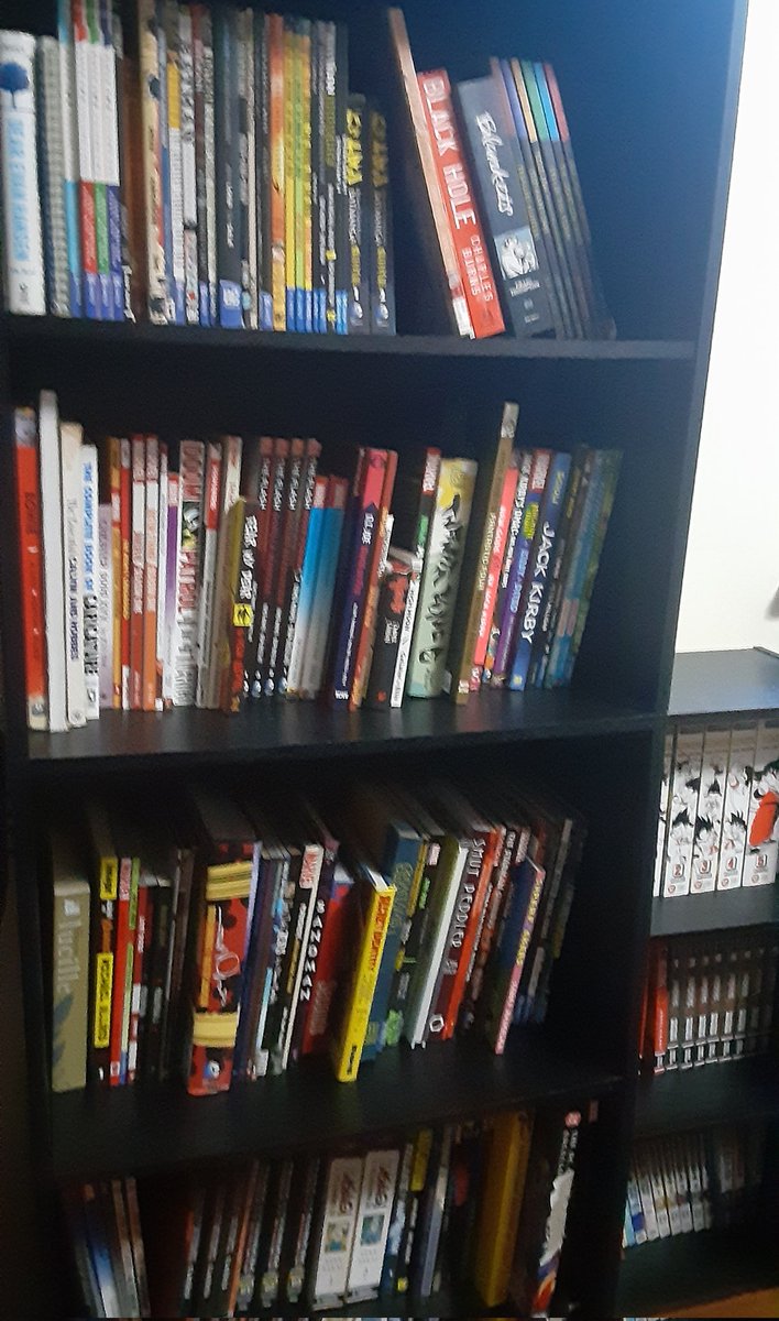 did something I'd never thought I would have the patience to do and alphabetized my shelf comics.

one day I'll organize the long boxes and that'll be the day I fucking die