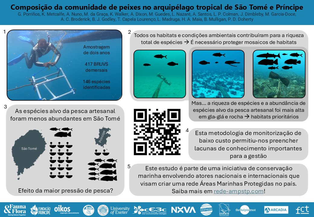 GPorrinos's tweet photo. O nosso estudo com #BRUVS em #SãoTomé e #Príncipe acabou de ser publicado! Este estudo é o primeiro levantamento com BRUVS no arquipélago, com 417 pontos amostrados em dois anos!

Link ao artigo #OA ⬇️
https://t.co/DYqhcSirui

Sumário dos principais achados com vídeos de 🐟!
1/9 https://t.co/b17Ira3sHn