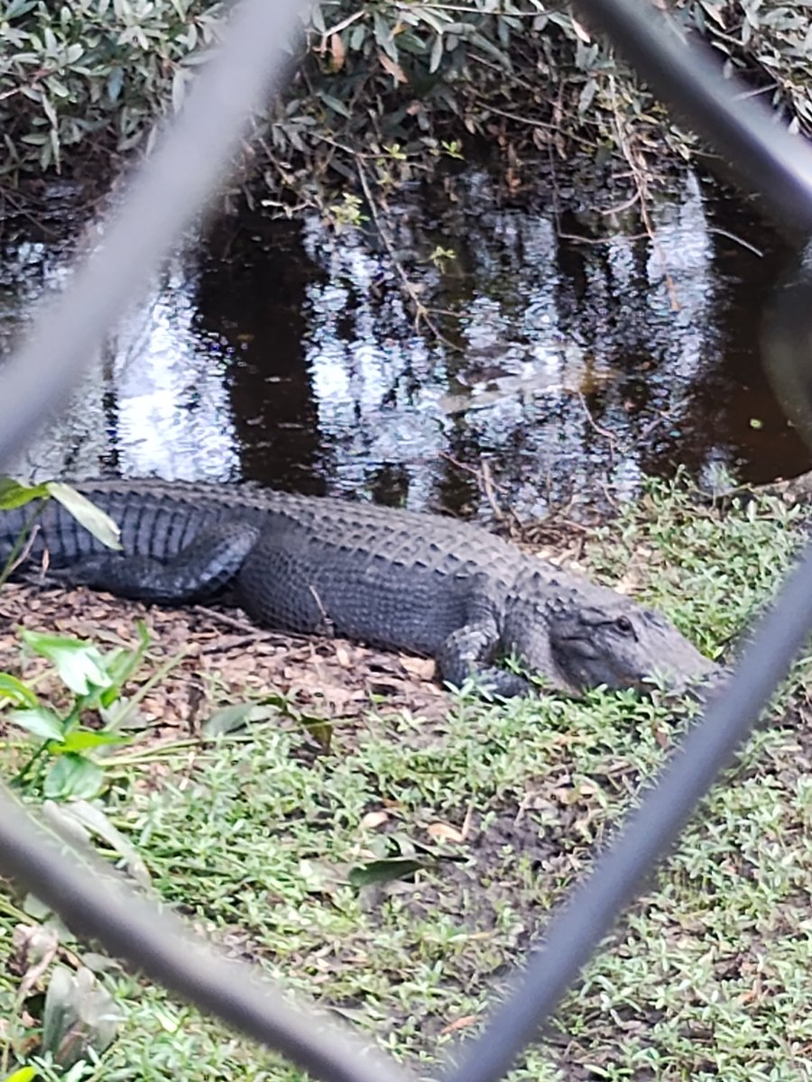 meeeeeeeeeeeeeee tweet media