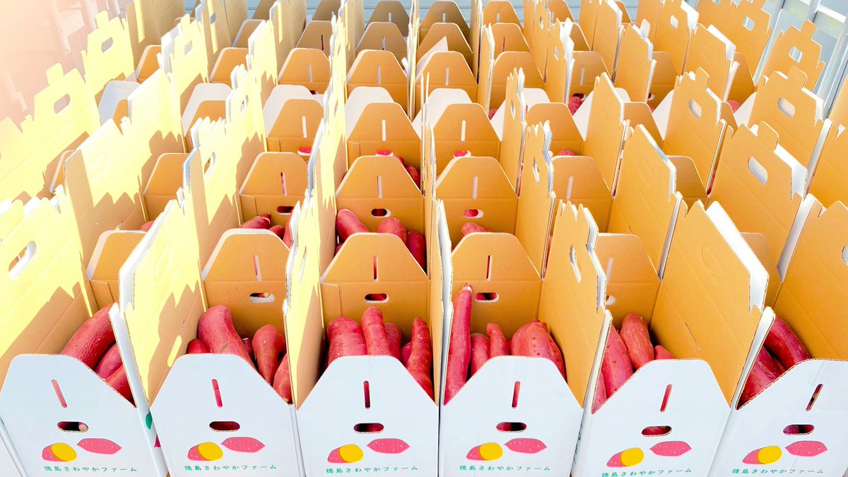 【さつまいもプレゼント企画】

抽選で1名様にねっとり甘い「さわやかのサツマイモ」1箱3Kg入りをプレゼント致します🎁

☀︎応募方法☀︎

1️⃣<a href="/satsumaimo77/">さわやかのサツマイモ🍠</a> をフォロー
2️⃣このツイートをRT

※送料も無料です。

※締切11/5(火)23:59