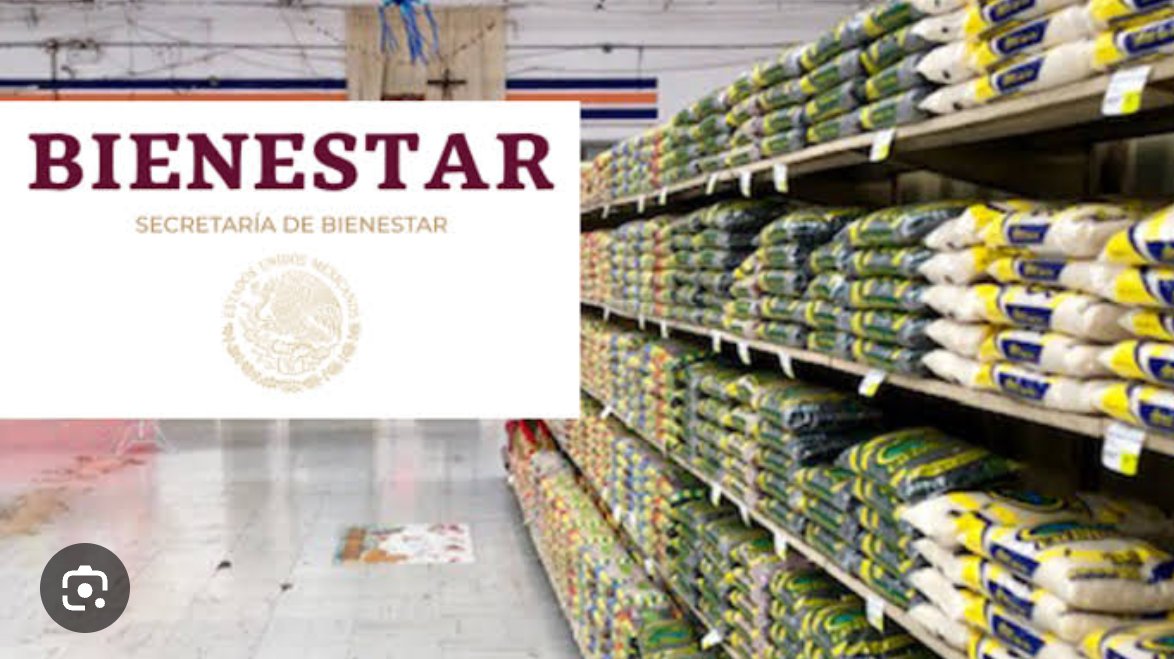 Gustavo Pliego tweet media