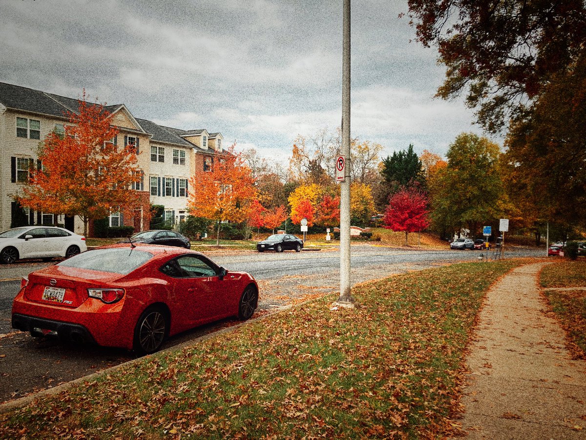 پاییز میرلند🍁
📸
