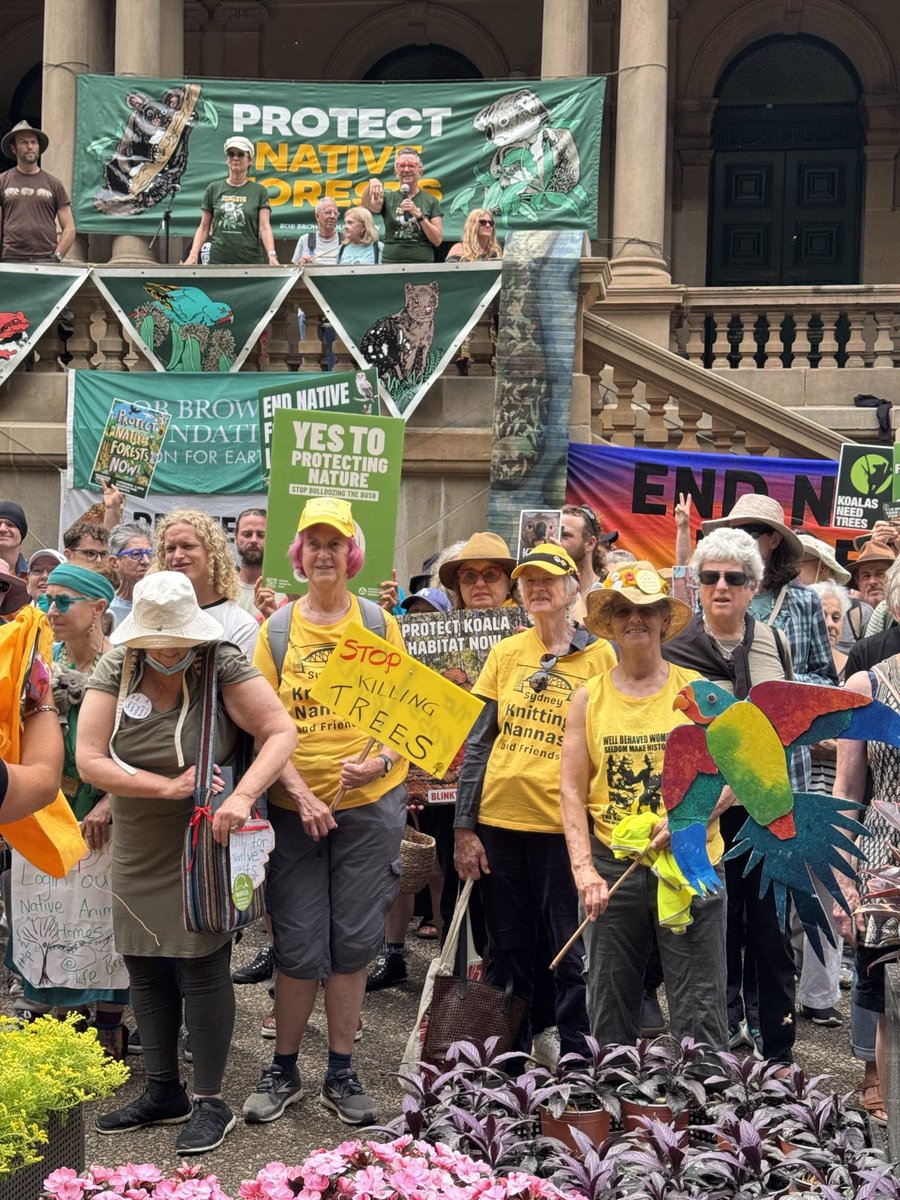 knitnannasSYD's tweet image. Sydney’s Knitting Nannas turning up to end native forest logging at forests Rally at Sydney Town Hall Sunday November 3.

Our forest climate “sinks” are under threat and Nannas and friends want to save vital habitat for koalas greater glider and our precious threatened species.