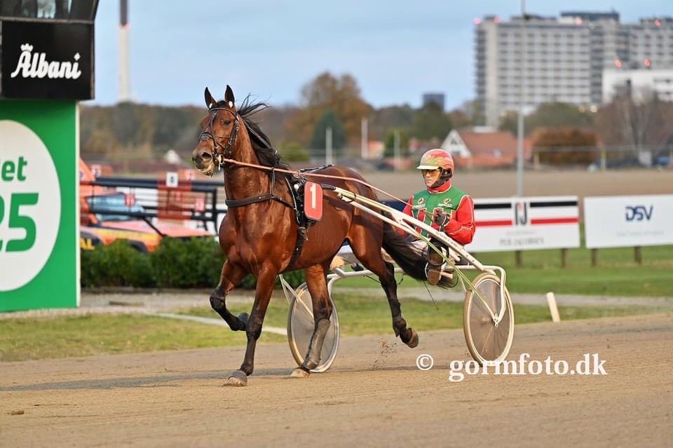 NHundeboll's tweet photo. Keep the Money. 
4. sejr i 6. start 💪🔥 https://t.co/vakTORcyWk