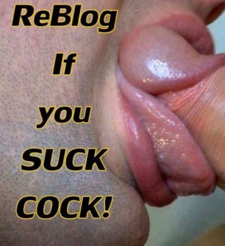Reblog if you Suck Cock 🍆
