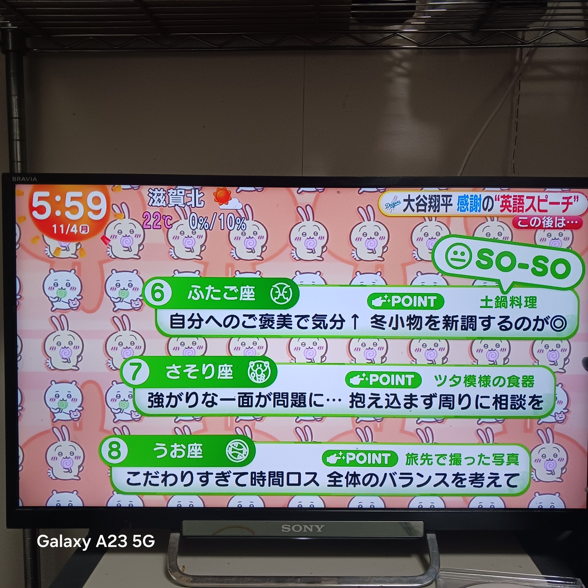 やっち on X: 