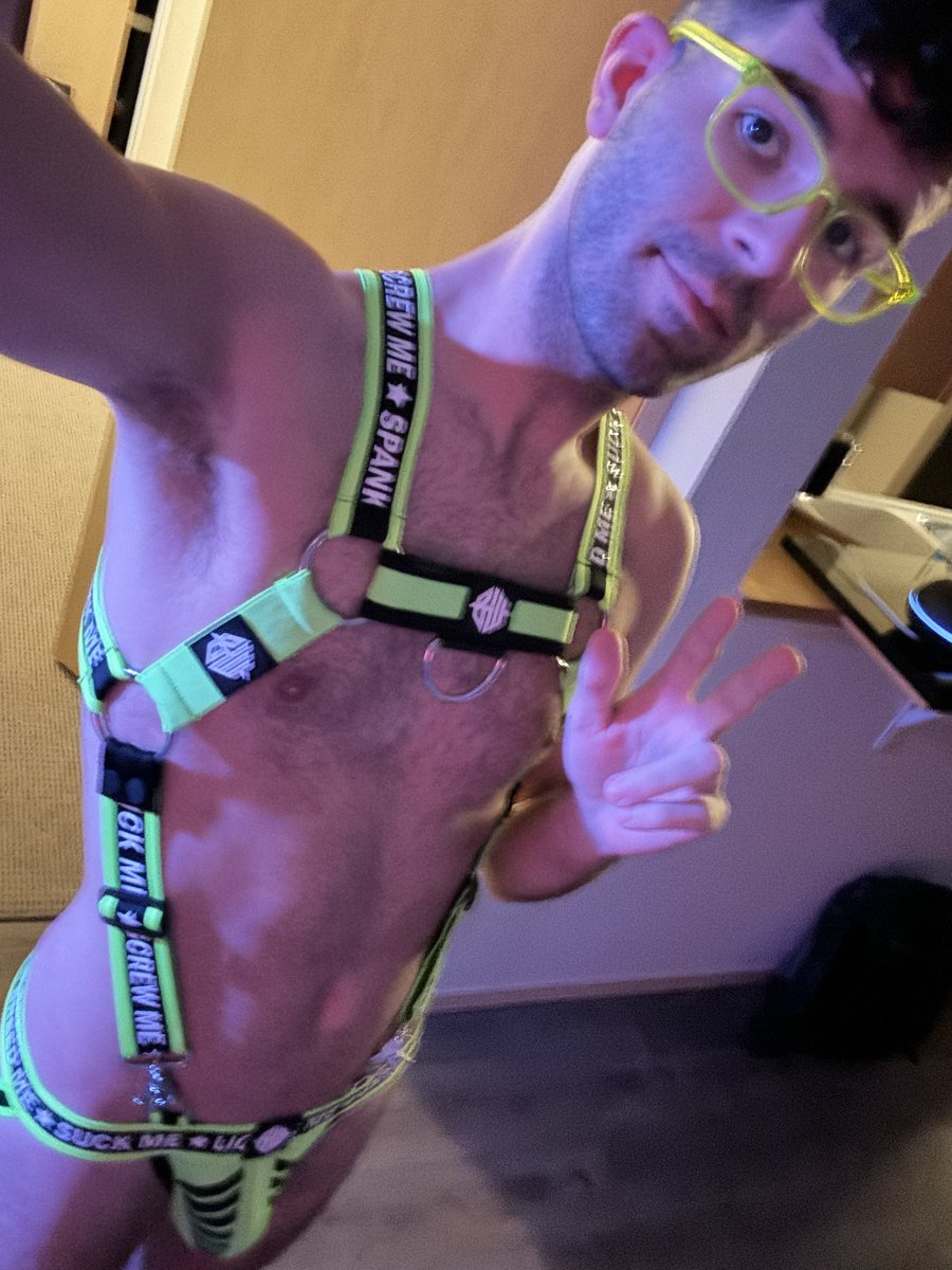 New harness it glows!!!!!! 🤩and it’s got directions let’s do who’s good at following them😈