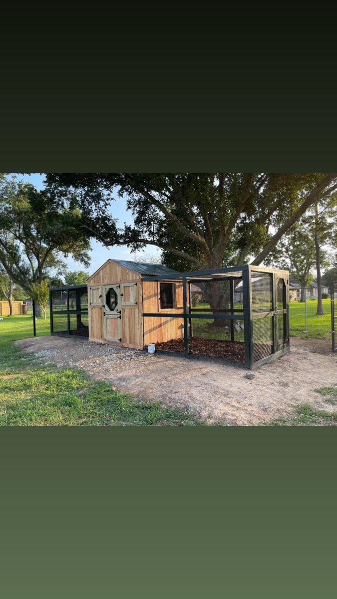 garden_hen's tweet photo. Large spaces or creative nooks, we can build anywhere.
We also build catios, goat, duck, quail and dog structures. 
832-722-2249 
-Chicken Mike #chickens #coops #chickencoops #backyardchickens #fresheggs #fresheggsdaily #urbanpoultry #urbanpoultryeducation #selfsustainable https://t.co/cjeoQsNZiF
