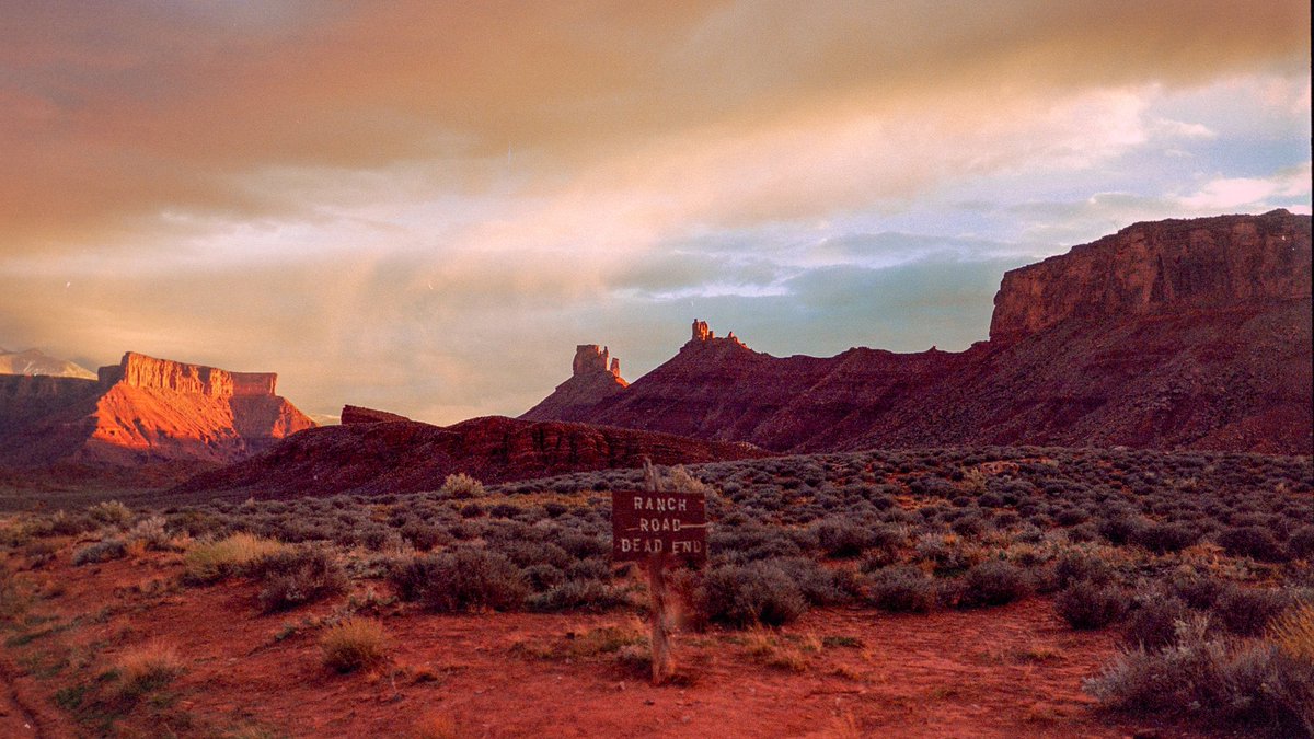 Eamon 🌃 tweet media