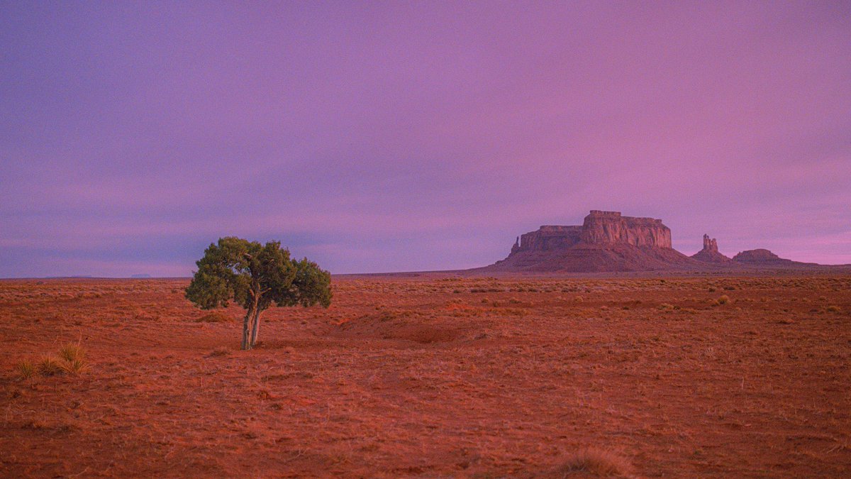 Eamon 🌃 tweet media