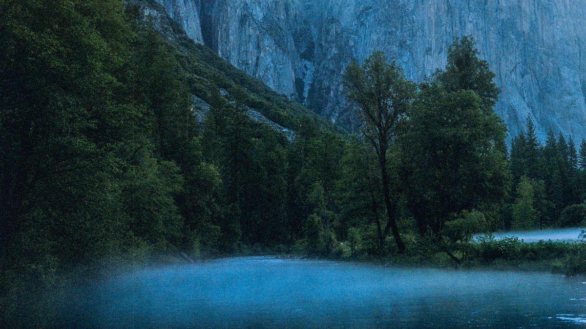 Eamon 🌃 tweet media