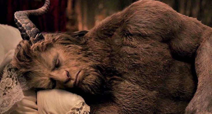 God0fMagic's tweet image. ㅤ
                                Cansado
      ━──────≪👑≫──────━
ㅤ