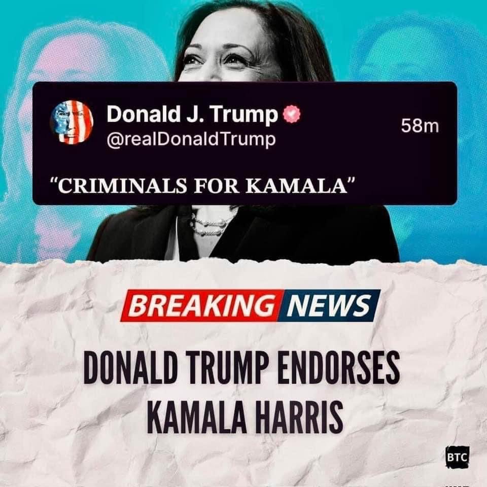 rebelsinexile's tweet photo. Didn’t think he’d concede.  Thought for sure he’d whine and cry like the little bitch he is.  I am truly shocked.  I never thought he’d be the bigger person. 

#trumpforharris https://t.co/TElxibOun1