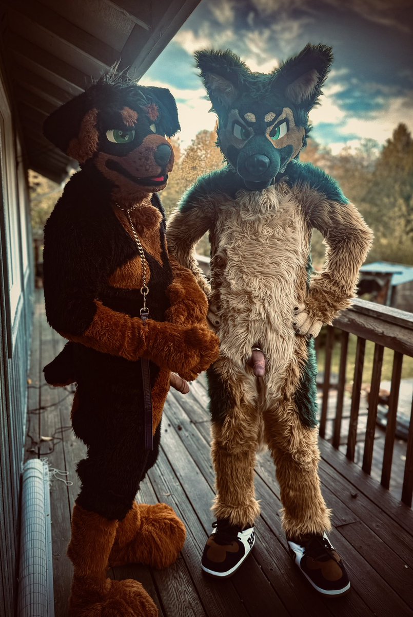 No words, just grrs (@lokosdick) on Twitter photo Excuse meโฆmy dog bro here and I have bones to bury. Would you happen to know a good spot?
<a href="/SheppyThePupAD/">Sheppy ๐จ๐ฆ๐บ๐ธ๐ณ๏ธโ๐</a> Excuse meโฆmy dog bro here and I have bones to bury. Would you happen to know a good spot?
<a href="/SheppyThePupAD/">Sheppy ๐จ๐ฆ๐บ๐ธ๐ณ๏ธโ๐</a>