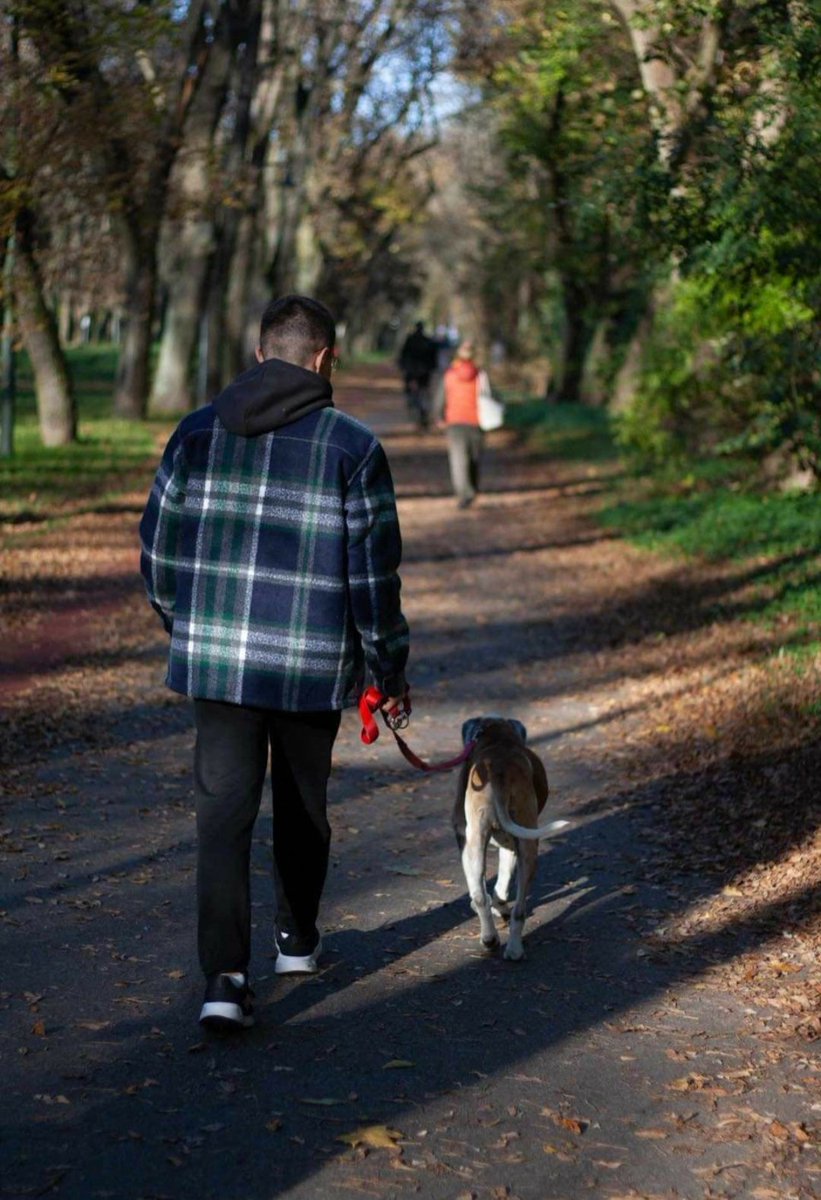 Kochani ❗ O tym, że 🐕 HEKTOR ma już 🏡 ogłaszałam, ale HEKTOR 🐕chciał Was tylko uspokoić, że jest szczęśliwy ze swoim kochającym, młodym CZŁOWIEKIEM 😉😍🥳 Bądź szczęśliwe Serduszko Kochane 😘🍀🫶🐾
#NieKupujAdoptuj