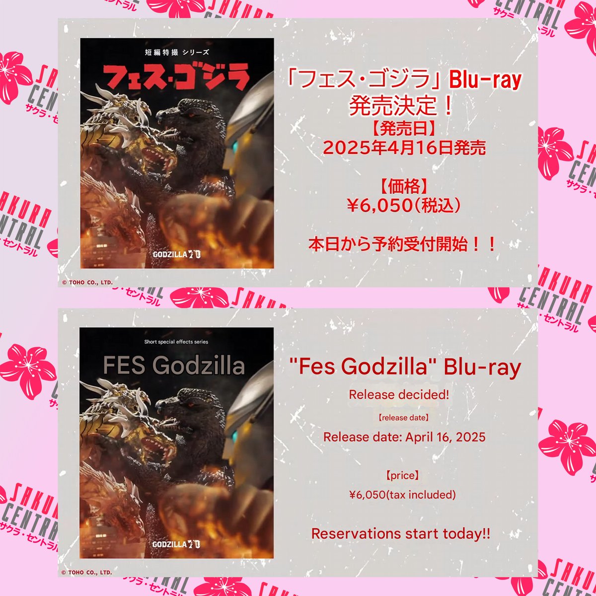 _sakura_central's tweet photo. 1/2 MERCH NEWS - Godzilla Fest Short Films will be releasing to Blu-ray!

News arose from "Godzilla Fest" that the original 'Godzilla Fest 5' will be releasing to Blu-ray on April 16, 2025 for ¥6,050 (approx. $40, plus tax).
.
.
.
#ゴジラ #godzillafes #godzillafest #merchnews https://t.co/wr0VQwHr0B