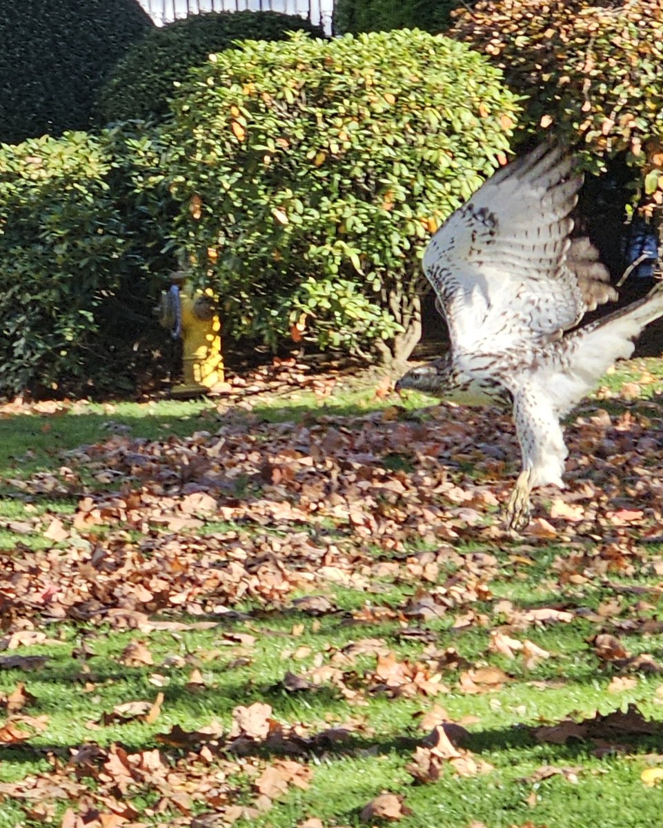 Dr. NaOH Bartfield 🧪 tweet media