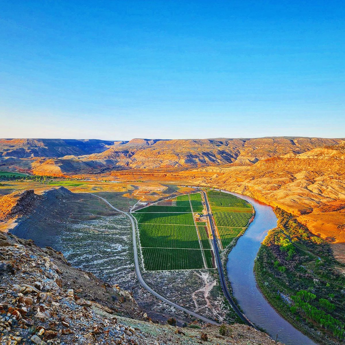 Join Honey Rock Landing in Delta, CO as an Administrative &amp; Regulatory Manager. Ensure adherence to organic certification standards, maintaining of meticulous records, &amp; efficient labor management processes. Offering $45K- $70K base salary + benefits. aghires.com/career/269145/…