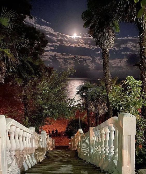 the path appearing as i walk it